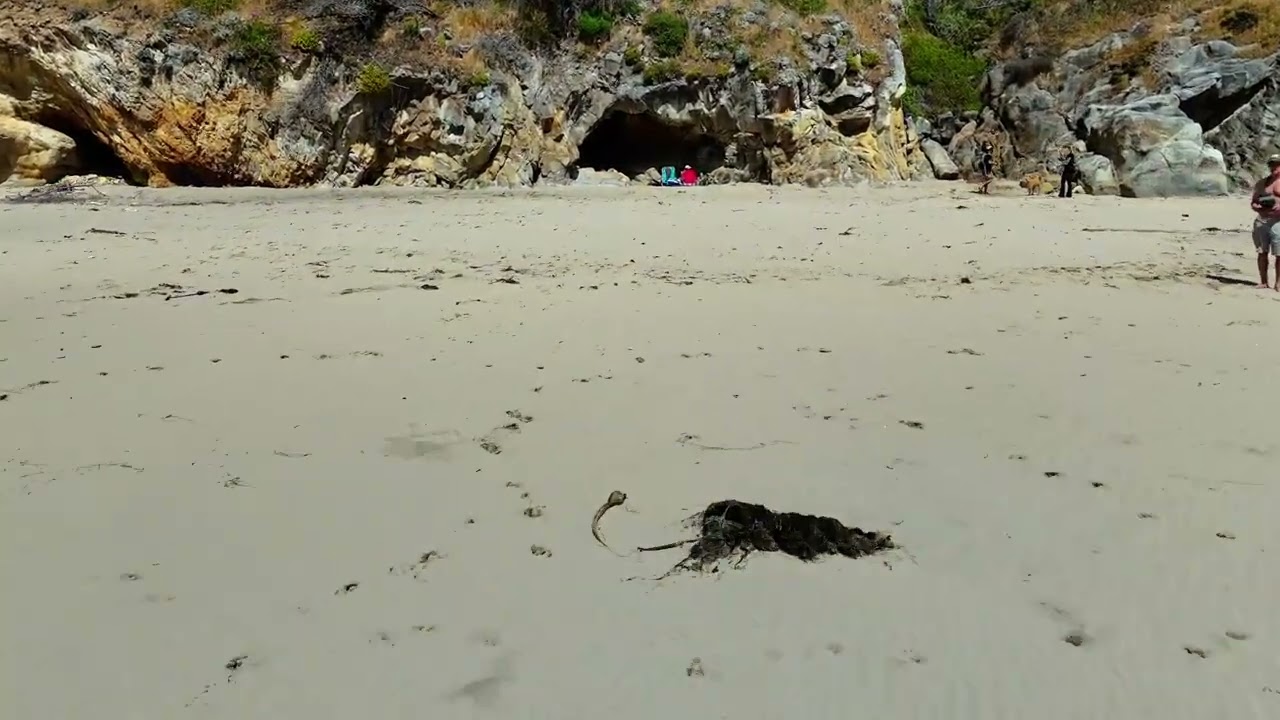 Schooner Gulch State Beach 7-4-25 Part 2.4