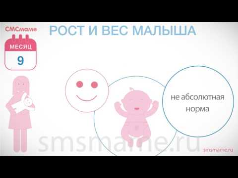 Ребенку 9 месяцев - рост и вес, учим малыша самостоятельности