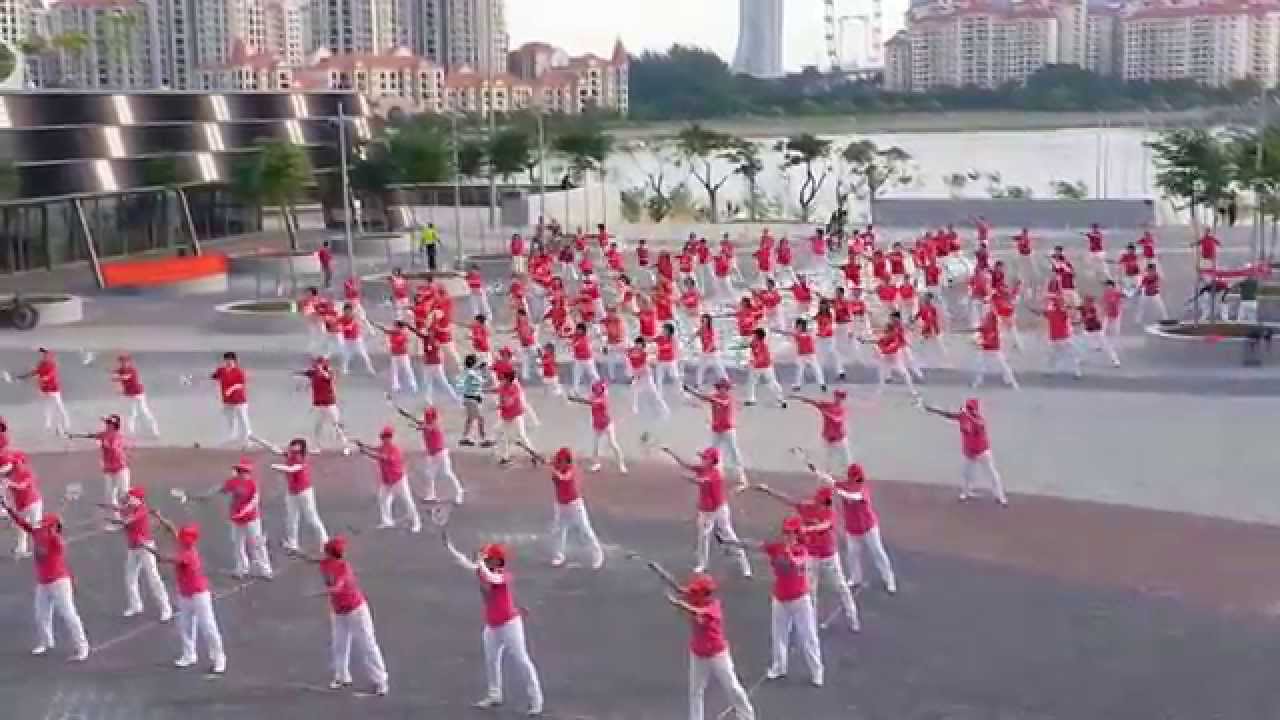 Singapore Sports Hub Rhythmball Showcase2(National Day 2014)