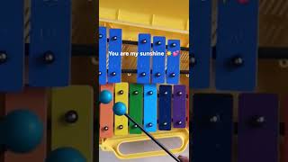 Don't take my sunshine away. #glockenspiel #singingbell #songsforkids #howtoplay #xylophone