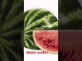 Learnenglish النطق الصحيح لكلمة بطيخة بالانجليزي Water Melon Learnenglish النطق الصحيح لكلمة بطيخة بالانجليزي Water Melon