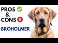 Broholmer pros and cons   danish mastiff advantages and disadvantages