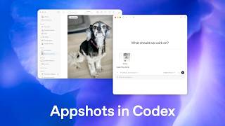 Introducing Appshots in Codex Update