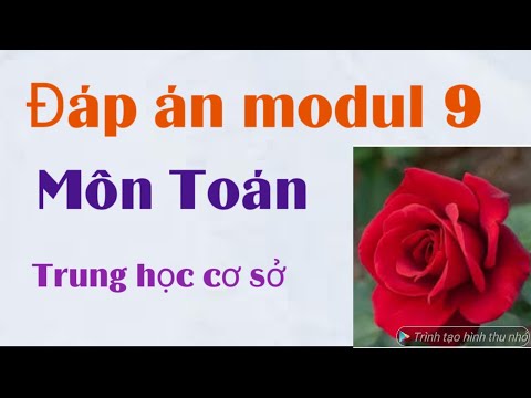 Video Modul 9 môn Toán Trung học cơ sở/ đáp án trắc nghiệm. - YouTube