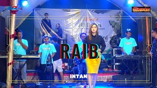Raib  Intan Jelita  New Gendon 