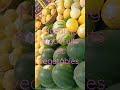 Fruits vegetables are expensiveamy villaras