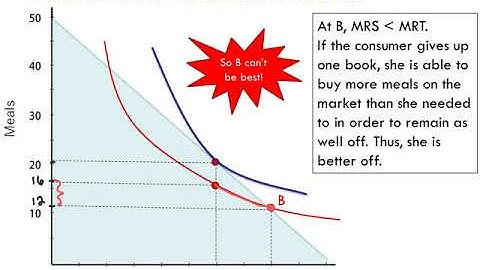 Constrained Utility Maximization