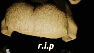 i played fast fred bear but fred bear (again this time) 116 sub special