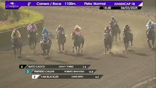 Vidéo de la course PMU PRIX KULLANKA