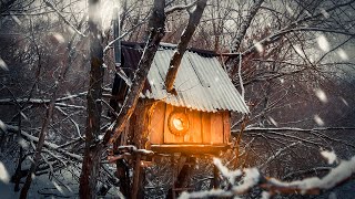 1 YEAR IN A TREE HOUSE by the river | START and FINISH of the project by Forest Paths 843,147 views 7 months ago 1 hour, 48 minutes