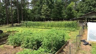 Barn Garden Update May 26, 2015