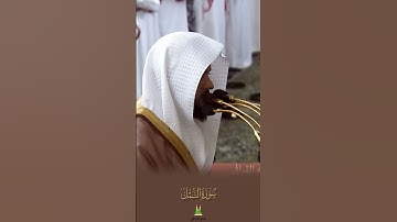 تلاوة خاشعة ومؤثرة تأخذك لعالم آخر للشيخ #عبدالله_القرافي  من سورة النمل