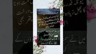 جہاں بددعادینےکاوقت آئےوہاں صبر کرلیاکریں اللّٰہ وہ عطاکرتاہے جو ہمارےوہم وگمان میں بھی نہیں ہوتا