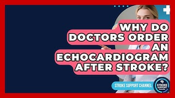Why Do Doctors Order An Echocardiogram After Stroke? - Stroke Support Channel