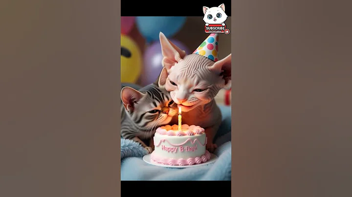 Video 11716241: sphynx cat meow, sphynx cat reactions