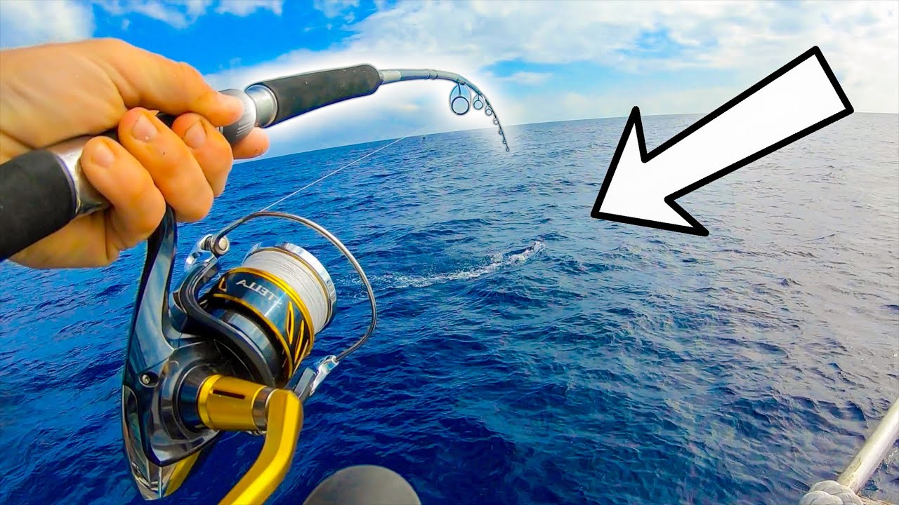 RIDICULOUS Lure Fishing in JAPAN! 