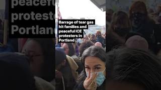 Portland families describe ‘safe, peaceful’ ICE protest before federal tear gas barrage