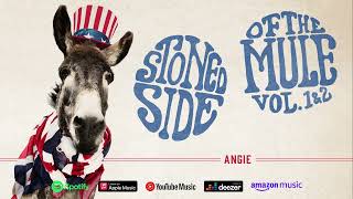 Gov't Mule - Angie (Stoned Side Of The Mule)