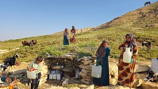 Nomadic Life: Nomadic Girls Build Shelters 🪨 | Newborn Nomadic Lamb Brings Happiness to Family❤️