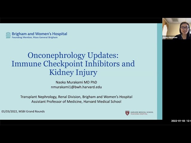 Onconephrology Updates: Immune Checkpoint Inhibitors and Kidney Injury