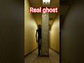 ghost in action #ghost #cat #old #mummy #usa