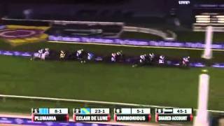 2010 Breeders' Cup Filly and Mare Turf