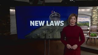 Here are some Tennessee state laws going into effect Jan. 1