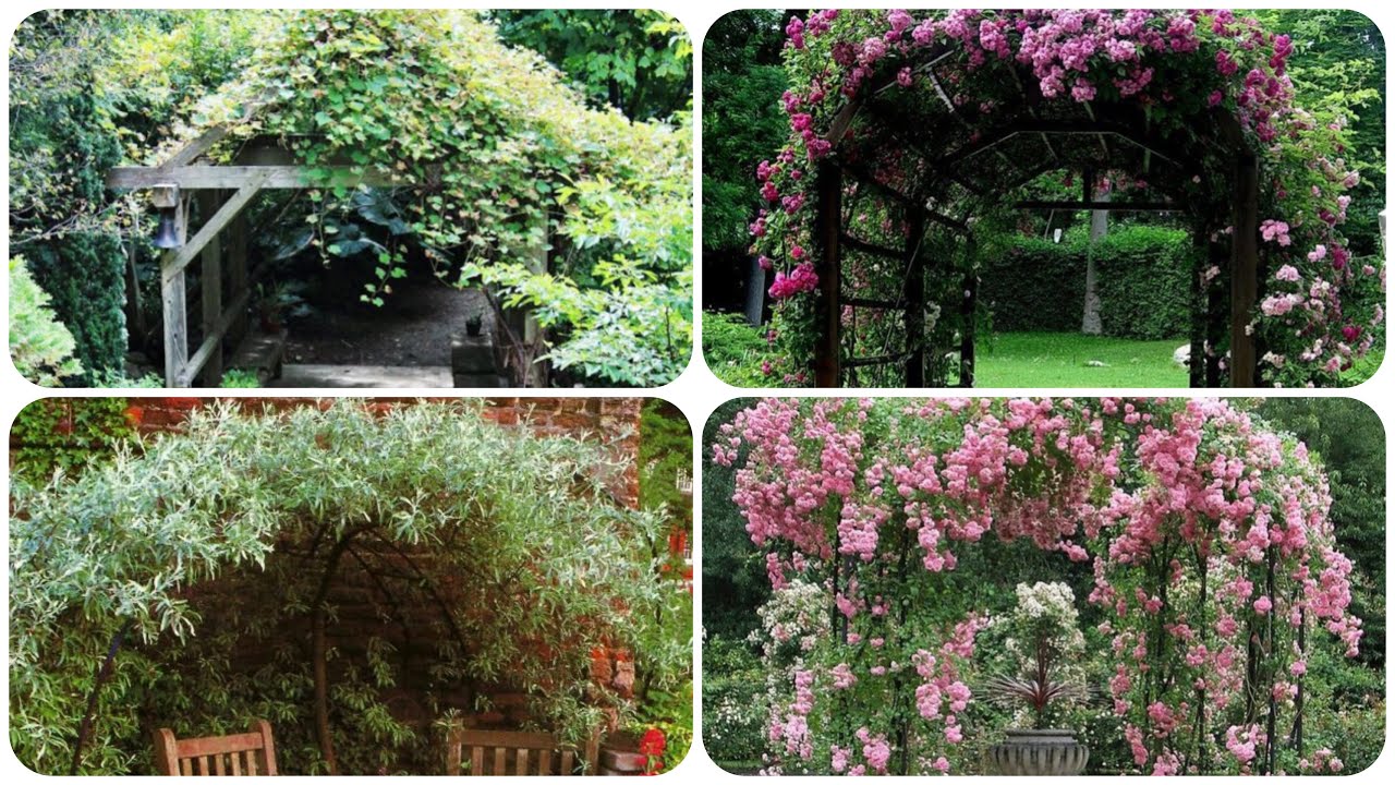 Garden Building Design | Garden Design & accessories arrivals in Pan | Garden Building Construction