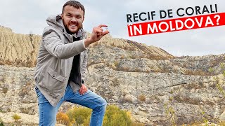 Moldova? Recif de corali, un crater imens și pajiști alpine / Feteşti FărăZAGRAN