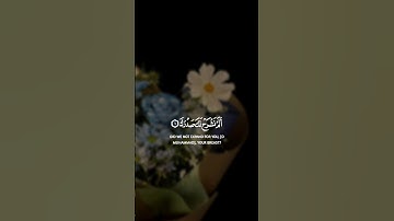 ألم نشرح لك صدرك || سورة الشرح || القارئ: عبد الباسط عبد الصمد