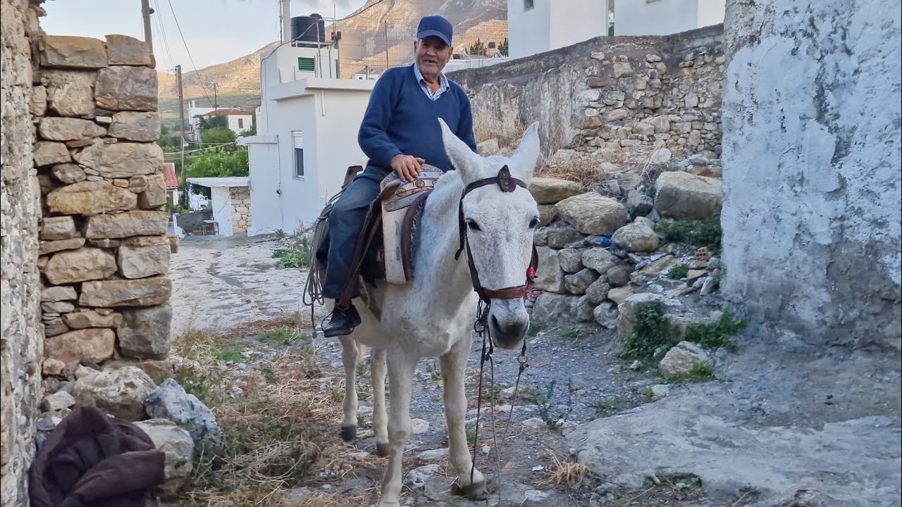 82 χρόνων ο Μιχάλης και δείτε πως ανεβαίνει στο μουλάρι του.Στο χωριό Ροτάσι