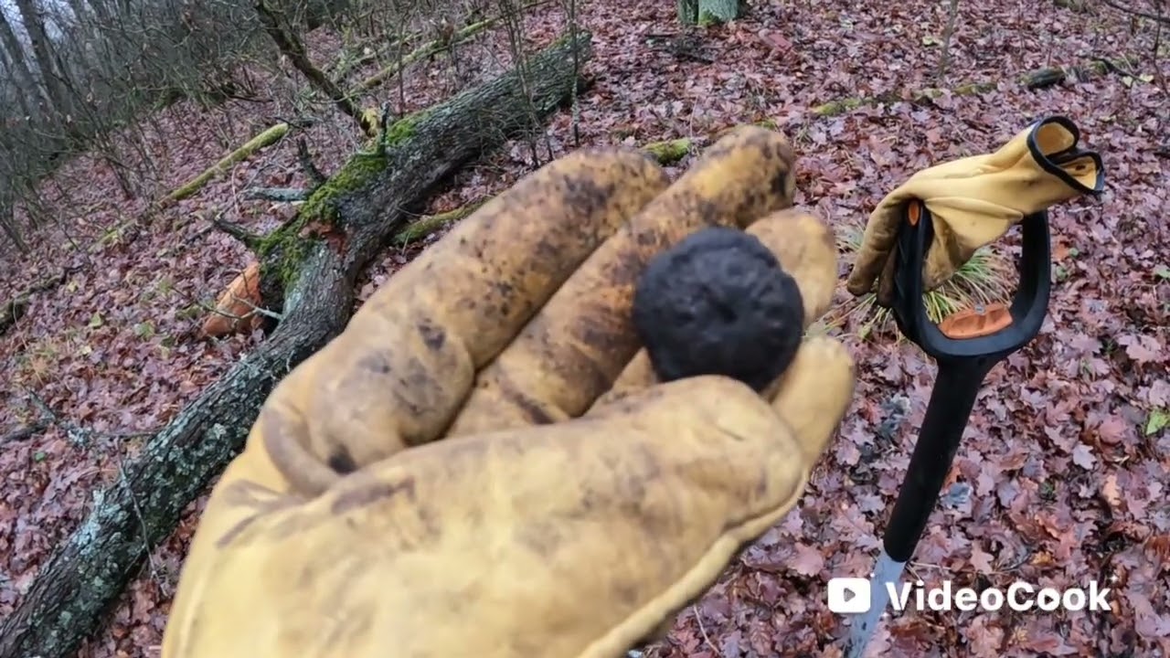 На коп и по грибы