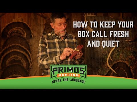 A Trick to Keeping your Box Call from Accidentally Squeaking
