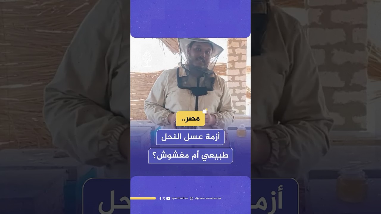 بعد أزمة العسل المغشوش في #مصر.. نحال صعيدي يكشف للجزيرة مباشر أسرار صناعة عسل النحل 🍯