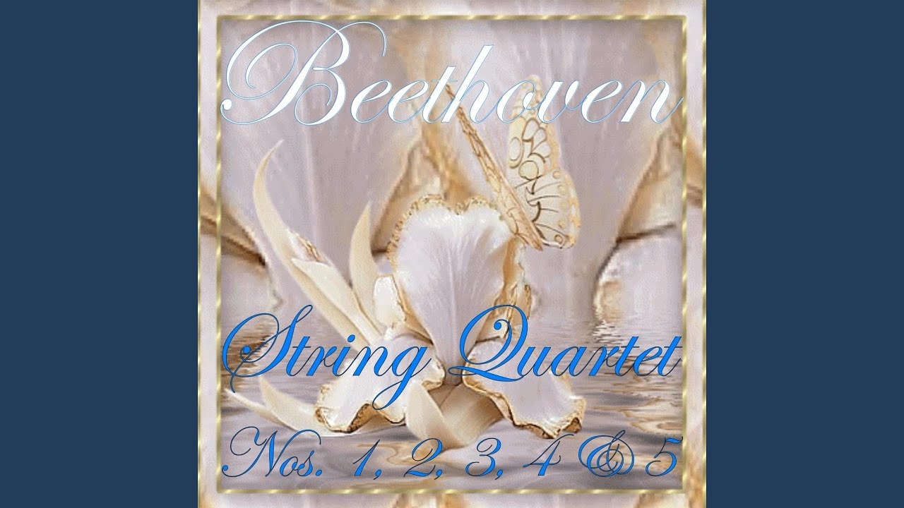String Quartet No. 2 in G Major, Op. 18: III. Scherzo, Allegro String Quartet No. 2 in G Major, Op. 18: III. Scherzo, Allegro