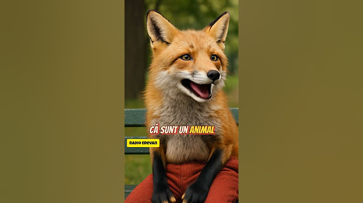 Vulpea Călin Georgescu și Ratonul Marcel Ciolacu, Animale Sălbatice | Radio Erevan | Bancuri