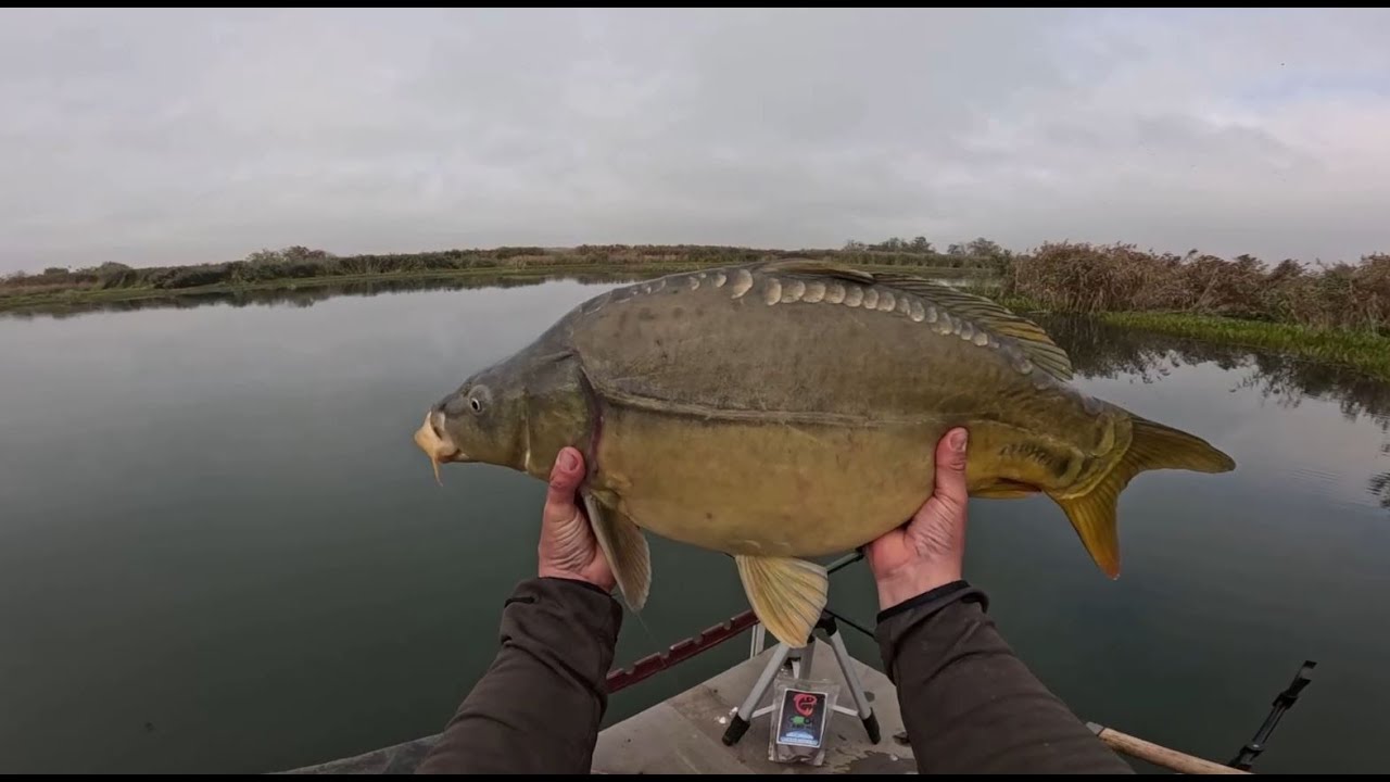 AZ ÉV VÉGÉRE ÖSSZEJÖTT A 10+  !!!  Horgászat a Nyugati-főcsatorna víztározón.