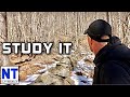 Study the landscape exploring old rock walls cellar holes at deserted colonial farms