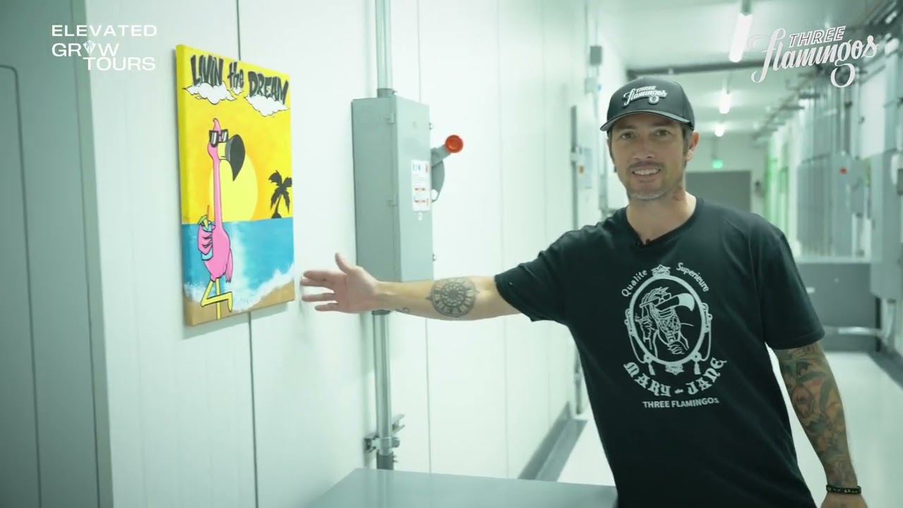 Three Flamingos Cannabis: Grow Facility Tour & Behind the Scenes | Elevated Grow Tours Ep. 6