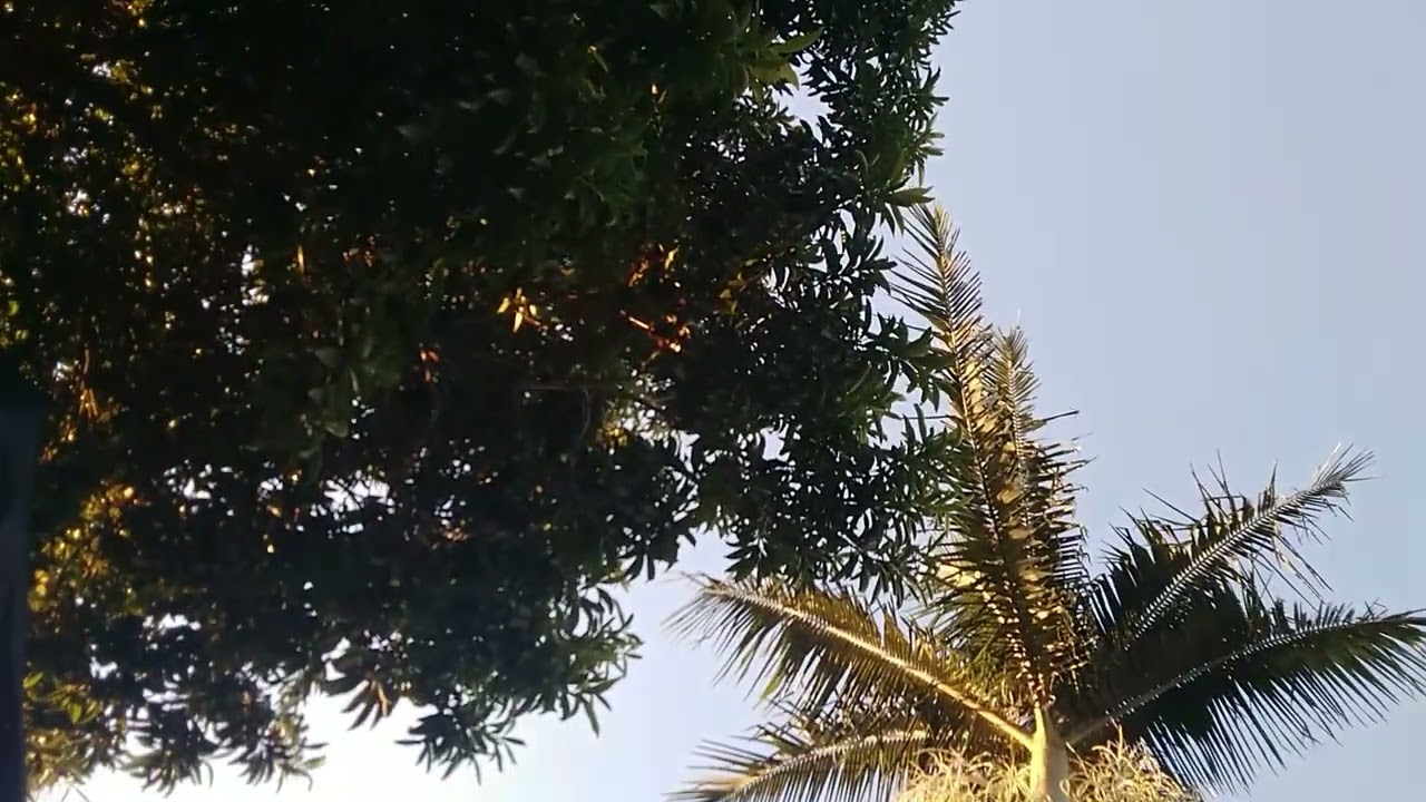 breathing calm activity