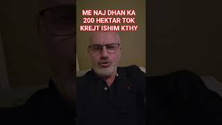 Deputet Ke Nis Hajgare Me Ba Me Opoziten