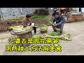 公婆去菜园挖莴笋，用两种土方法做美食，没肉也香，留着给儿媳吃