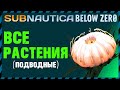 Subnautica Below Zero ВСЕ РАСТЕНИЯ (подводные)