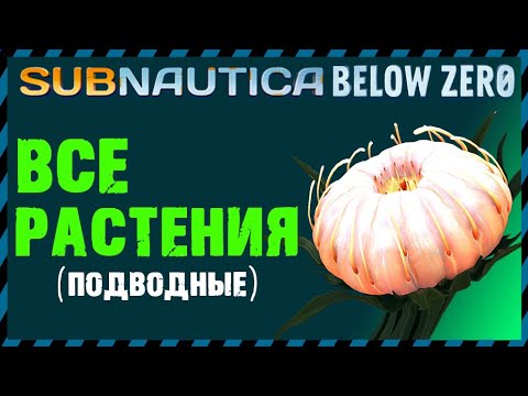 Видео: Subnautica Below Zero ВСЕ РАСТЕНИЯ (подводные)