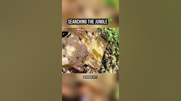 Searching The Jungle For WW1 Battlefields🔫 (Part 34) #youtubeshorts #nature #outdoor #camping