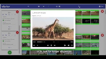 vitrivr: A Multimodal Multimedia Retrieval System