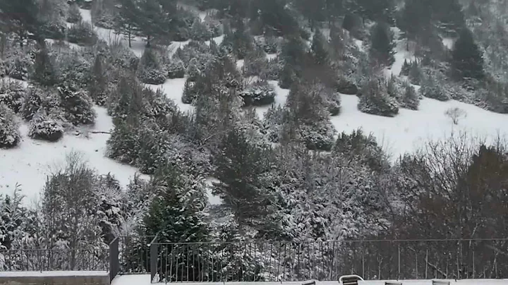 snow on the next day
