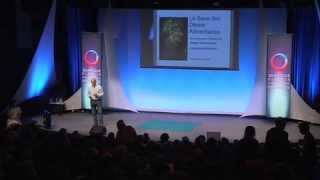 Le Sens Des Désirs Alimentaires - Présentation- Dr Olivier Soulier - 2013