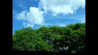 VivaVideo PRO Soundtrack (Preloaded Music) - 09. Love The Sky