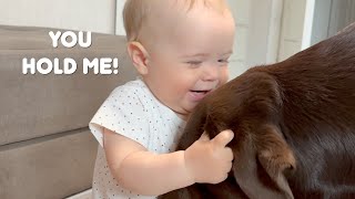 Sweetest First Steps: Our Dog Supports Baby's First Walk!